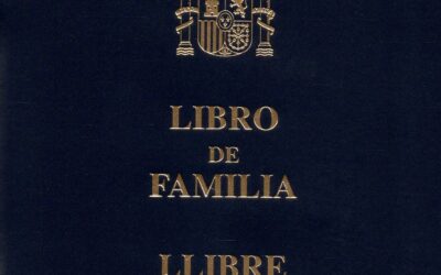 BUTLLETÍ NÚM. 113